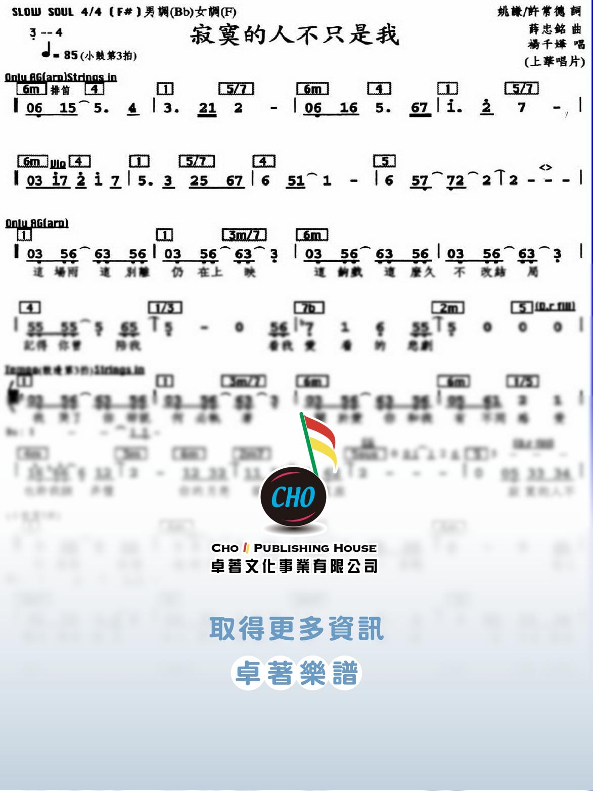 寂寞的人不只是我